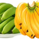Cavendish Banana G9