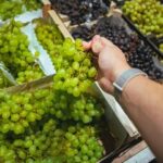 Fresh Mixed Grapes