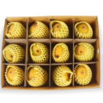 Fresh Alphonso Mango