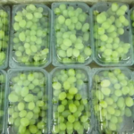 Fresh Mixed Grapes