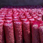 Fresh Red Onion