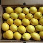 Fresh Lemon