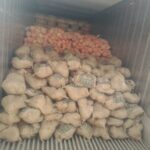 Fresh Elephant Yam (Suran)