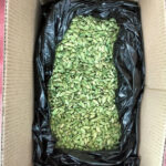 Green Cardamom