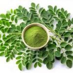 Moringa Leaves Powder