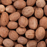 Indian Nutmeg