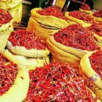 Dry Red Chilli